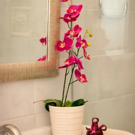 Apartman Katerina's Luxury